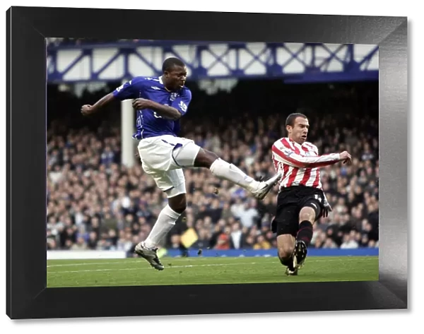 Yakubu Scores First Goal: Everton's Victory Over Sunderland in Barclays Premier League at Goodison Park (24 / 11 / 07)