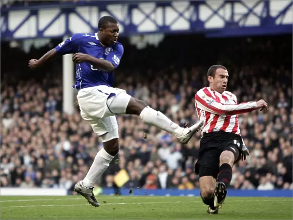 Yakubu Scores First Goal: Everton's Victory Over Sunderland in Barclays Premier League at Goodison Park (24 / 11 / 07)