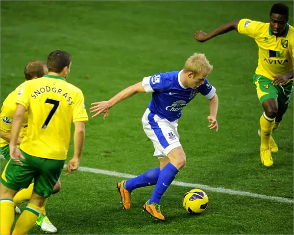 Naismith in Action: Everton vs Norwich City - 1-1 Stalemate at Goodison Park