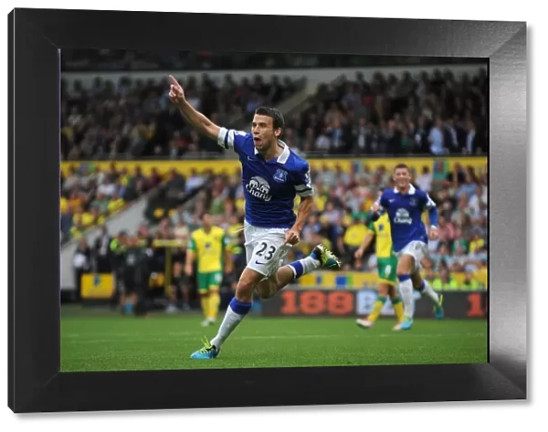Seamus Coleman's Double: Thrilling 2-2 Draw at Norwich City (August 17, 2013)