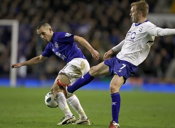 Battle for Supremacy: Osman vs Larsson at Goodison Park - Everton vs Birmingham City (Barclays Premier League, 09 Mar 2011)
