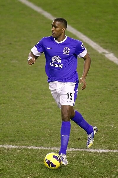 Distin's Header: Everton's Win Against West Brom in BPL (30-01-2013)