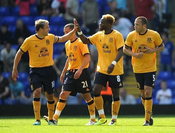 Everton's Louis Saha in Triumph: Celebrating His Goal Against Birmingham City (July 2011)