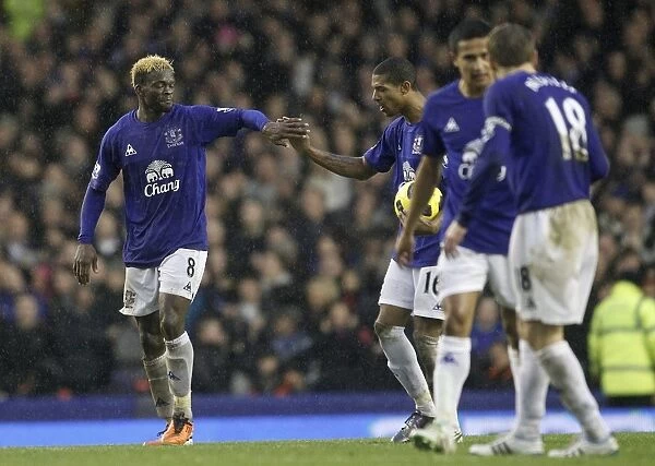 Everton's Louis Saha: Triumphant Third Goal Against Blackpool in Barclays Premier League (05.02.2011)