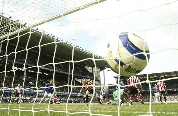 Everton's McFadden Scores: A Celebration of Victory
