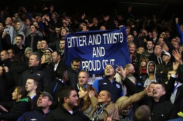 Everton's Triumph: Euphoria in the Stands after Liverpool Victory (16 January 2011)