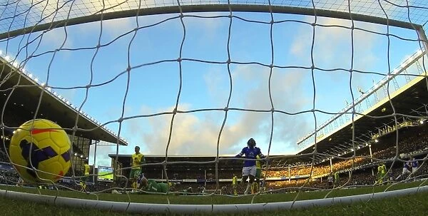 Gareth Barry Scores First Goal: Everton's Victory Over Norwich City (11-01-2014)