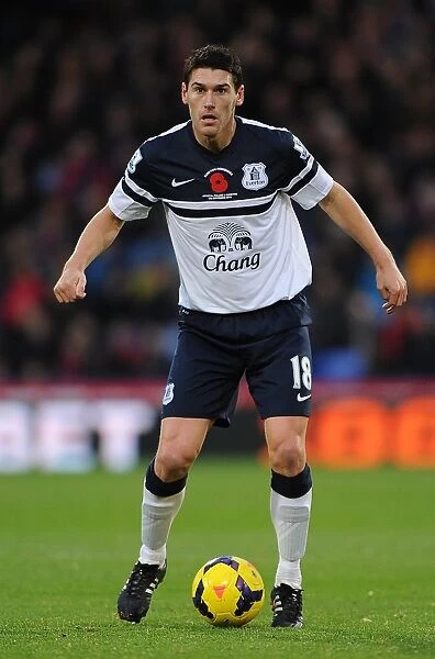 Gareth Barry's Steadfast Performance: Everton Holds Crystal Palace Scoreless (Barclays Premier League, November 9, 2013)