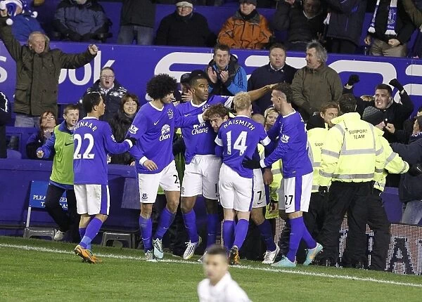 Jelavic Scores Everton's Second: Everton 2-1 Tottenham Hotspur (BPL, Goodison Park, 09-12-2012)