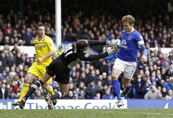 Jelavic's Thrilling Goal: Everton vs. Reading, Barclays Premier League (3-1)