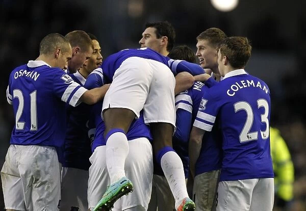 Mirallas Double: Everton's 2-0 Victory Over Norwich City (January 11, 2014, Goodison Park)
