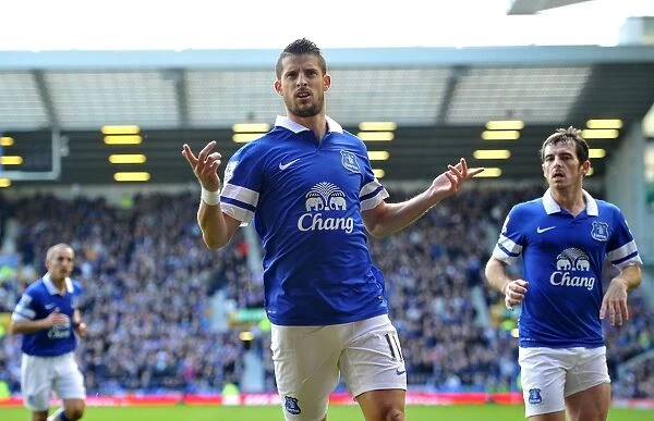 Mirallas's Strike: Everton's First Goal vs. Hull City in Barclays Premier League (19-10-2013, Goodison Park)