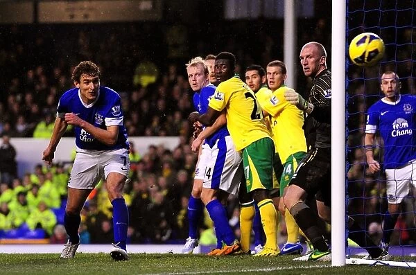 Nikica Jelavic's Heart-Stopping Near-Miss: Everton vs Norwich City (1-1) - Barclays Premier League, Goodison Park