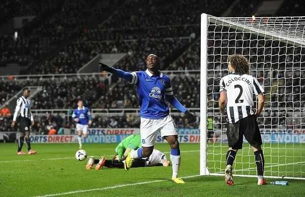 Romelu Lukaku's Brace: Everton's 3-0 Victory Over Newcastle United (25-03-2014)