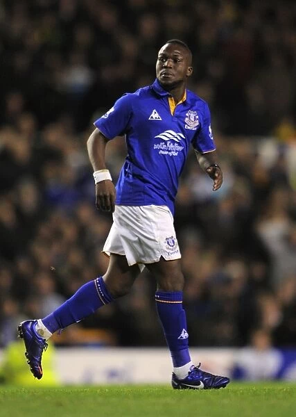 Royston Drenthe in Action for Everton vs Norwich City (December 17, 2011)