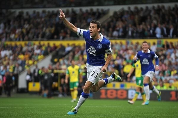 Seamus Coleman's Double: Thrilling 2-2 Draw at Norwich City (August 17, 2013)