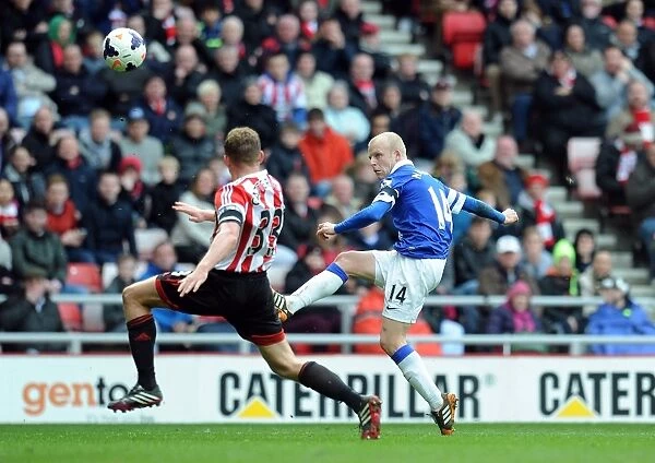 Steven Naismith's Game-Winning Goal: Everton's 1-0 Victory at Sunderland's Stadium of Light (Barclays Premier League, April 12, 2014)