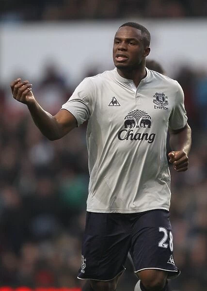 Thrilling Victor Anichebe Goal: Everton's Victory at Aston Villa (Barclays Premier League, 14 January 2012)
