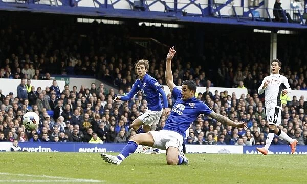 Tim Cahill's Stunner: Everton's Fourth Goal vs. Fulham (April 2012, Barclays Premier League)