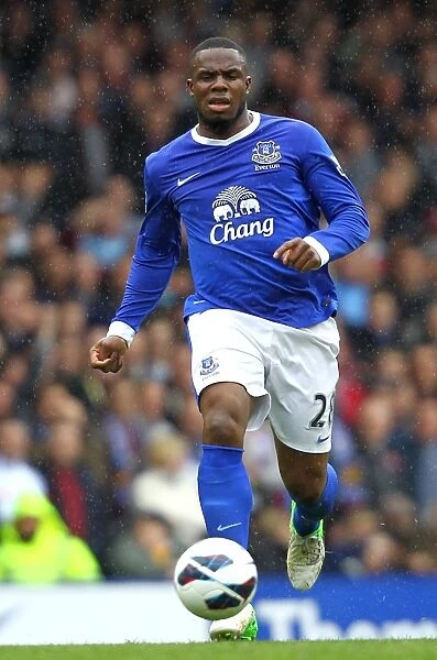 Victor Anichebe's Goal Celebration: Everton's Victory Over West Ham United (12-05-2013, Goodison Park)