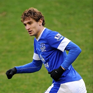 0-0 Stalemate at Goodison Park: Nikica Jelavic and Everton Face Off Against Swansea City (January 12, 2013)