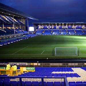 Barclays Premier League - Everton v West Bromwich Albion - Goodison Park