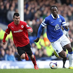 Battle for the Ball: Lukaku vs. Medel - Everton's Edge: Everton 2-1 Cardiff City