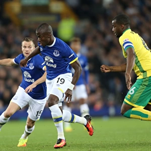 EFL Cup Collection: EFL Cup - Third Round - Everton v Norwich City - Goodison Park