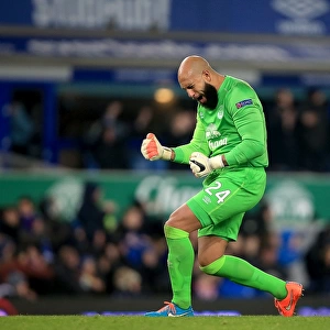 Everton's Europa League Victory: Tim Howard and Steven Naismith's Triumphant Moment after Scoring Third Goal vs. Lille
