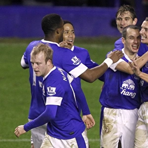 Premier League Collection: Everton 2 v Wigan Athletic 1 : Goodison Park : 26-12-2012