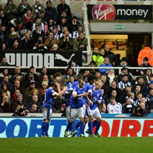 Everton's Triumph: Leighton Baines Scores the Winning Goal Against Newcastle United (Everton 2 - Newcastle United 1, Barclays Premier League)