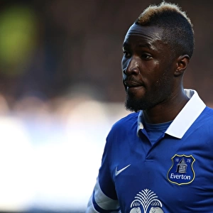 Fifth Round FA Cup Thriller: Lacina Traore Scores Brace for Everton Against Swansea City at Goodison Park (16-02-2014)