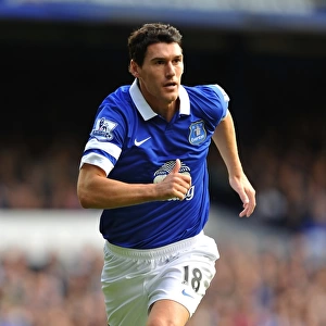 Gareth Barry's Leadership: Everton's 2-1 Victory Over Hull City (October 19, 2013, Goodison Park)