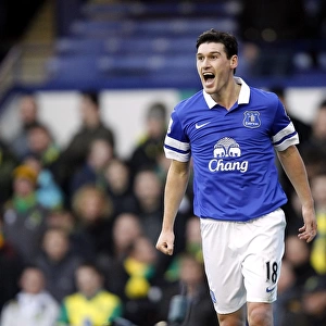 Gareth Barry's Strike: Everton Takes the Lead Against Norwich City (11-01-2014)