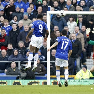 Louis Saha Scores Second Goal: Everton's FA Cup Quarterfinal Victory over Middlesbrough at Goodison Park (March 8, 2009)