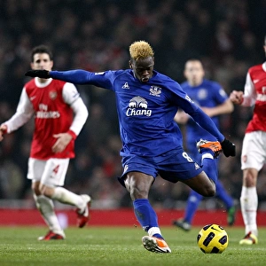 Louis Saha's Stunning Strike: Arsenal vs. Everton, Barclays Premier League (01 February 2011)