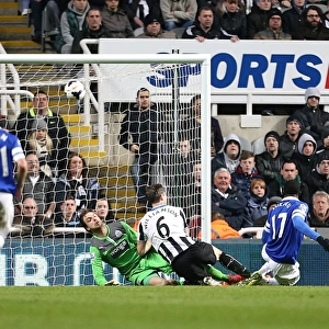 Lukaku's Double: Everton's 3-0 Crushing Victory Over Newcastle United (25-03-2014)