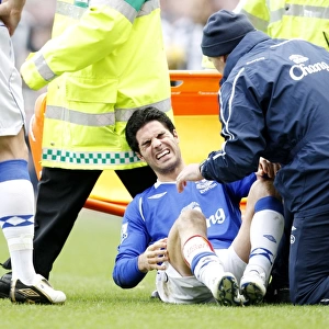 Mikel Arteta Suffers Injury: Everton's Star Midfielder Carried Off in Newcastle Clash, Barclays Premier League (2009)
