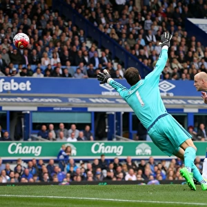Naismith Strikes First: Everton vs. Chelsea at Goodison Park - Barclays Premier League