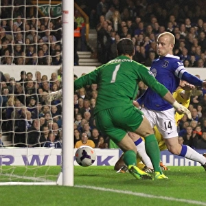 Naismith's Dramatic Goal: Everton vs Crystal Palace in BPL (16-04-2014) - Everton 2, Crystal Palace 3