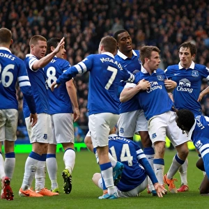 Seamus Coleman's Double: Everton's Triumph over Cardiff City in the Barclays Premier League (15-03-2014)