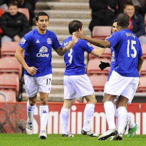 Premier League Collection: 22 November 2010 Sunderland v Everton