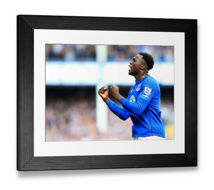 Framed Print : Romelu Lukaku's Thrilling First Goal: Everton vs. Crystal Palace, Premier League Framed Print : Romelu Lukaku's Thrilling First Goal: Everton vs. Crystal Palace, Premier League