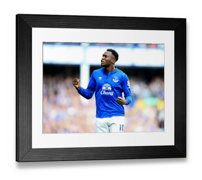 Framed Print : Romelu Lukaku's Stunner: Everton's Premier League Triumph Over Crystal Palace at Goodison Park Framed Print : Romelu Lukaku's Stunner: Everton's Premier League Triumph Over Crystal Palace at Goodison Park