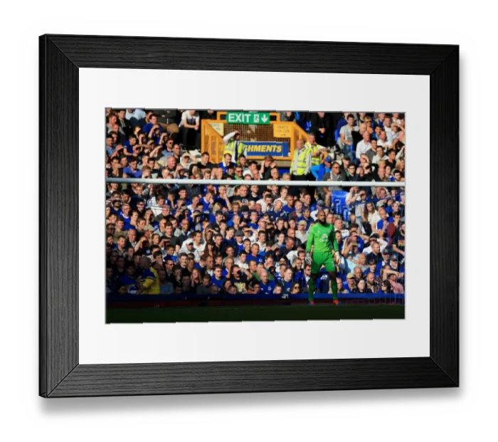 Framed Print : Tim Howard in Action: Everton vs Crystal Palace, Premier League, Goodison Park Framed Print : Tim Howard in Action: Everton vs Crystal Palace, Premier League, Goodison Park