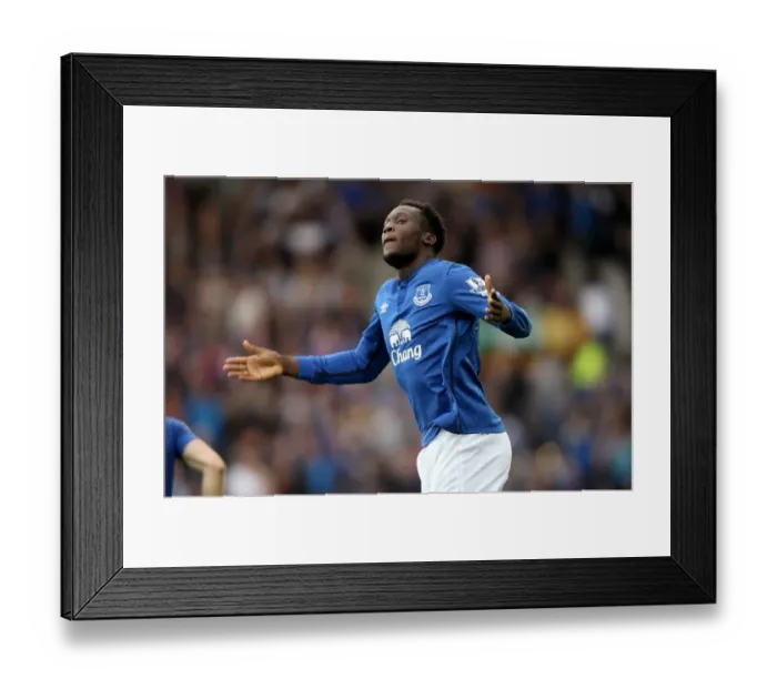 Framed Print : Everton's Double Victory: Romelu Lukaku's Brace Secures Premier League Win Against Aston Villa (Goodison Park) Framed Print : Everton's Double Victory: Romelu Lukaku's Brace Secures Premier League Win Against Aston Villa (Goodison Park)