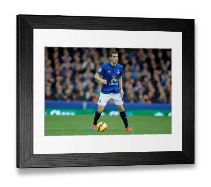 Framed Print : Barclays Premier League - Everton v Swansea City - Goodison Park Framed Print : Barclays Premier League - Everton v Swansea City - Goodison Park