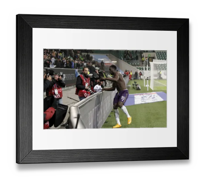 Framed Print : Everton's Romelu Lukaku Celebrates UEFA Europa League Victory with Fans: Shirt Throw Framed Print : Everton's Romelu Lukaku Celebrates UEFA Europa League Victory with Fans: Shirt Throw