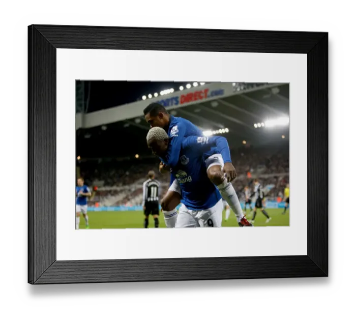 Framed Print : Barclays Premier League - Newcastle United v Everton - St James Park Framed Print : Barclays Premier League - Newcastle United v Everton - St James Park