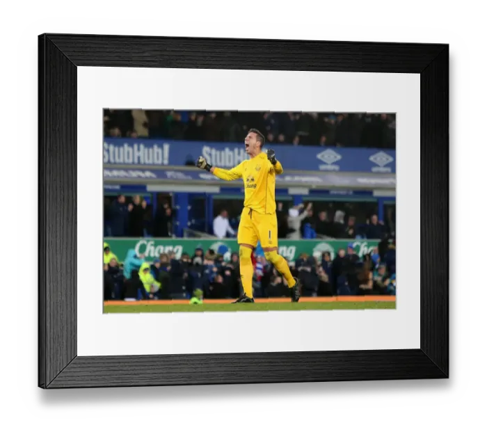 Framed Print : Everton's Joel Robles and Steven Naismith: Celebrating the First Goal Against Manchester City Framed Print : Everton's Joel Robles and Steven Naismith: Celebrating the First Goal Against Manchester City